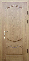 Коричневая дверь с панелями МДФ в частный дом ВФД 031