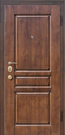 Входная дверь ВМДВ 012
